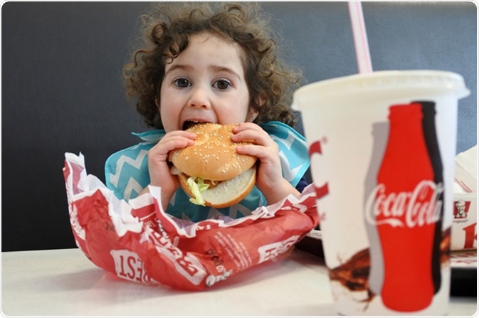 Fast food or junk food. Image Credit: Shutterstock / ChameleonsEye